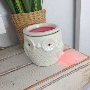 Pink Zebra Owl summer light like new